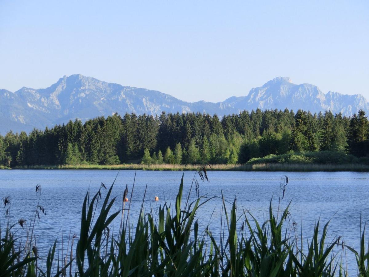 Log Cabin In Bavaria With Covered Terrace Villa ชไตน์กาเดน ภายนอก รูปภาพ