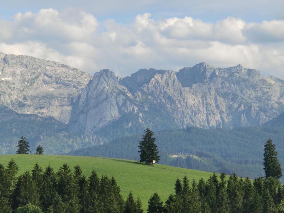 Log Cabin In Bavaria With Covered Terrace Villa ชไตน์กาเดน ภายนอก รูปภาพ